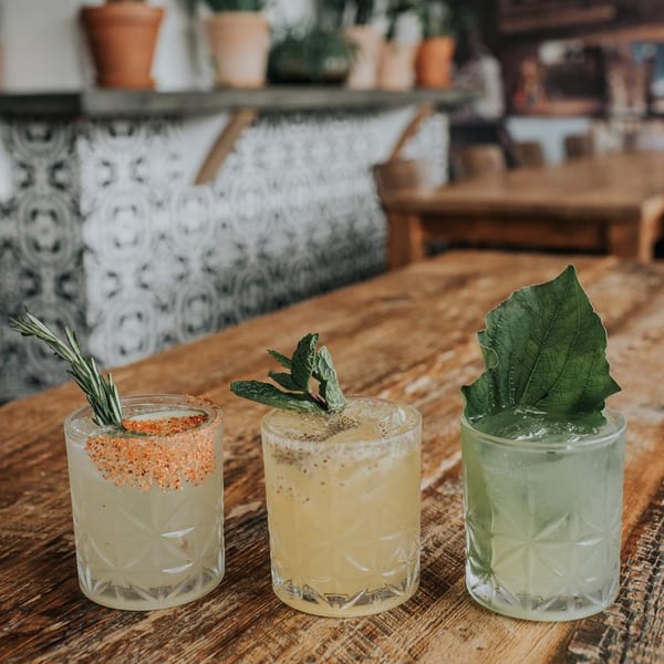 Three vibrant cocktails, garnished with rosemary, mint, and a large leaf, on a rustic wooden table.